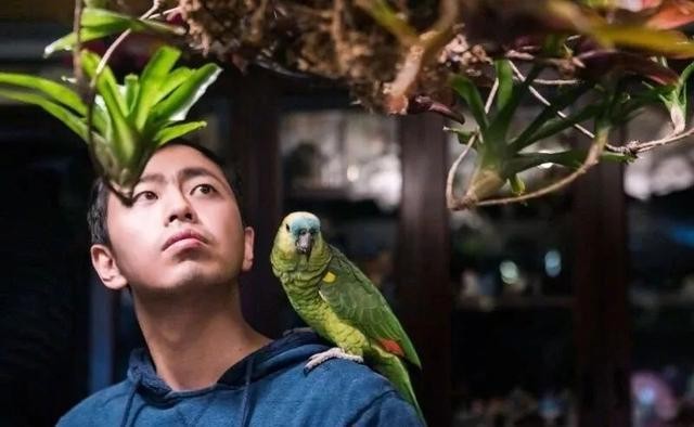 最强大脑王昱珩现在怎么样了,最强大脑王昱珩为什么那么有性格