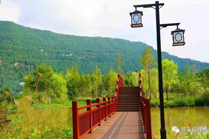 苍溪湿地公园有什么,苍溪最新湿地公园