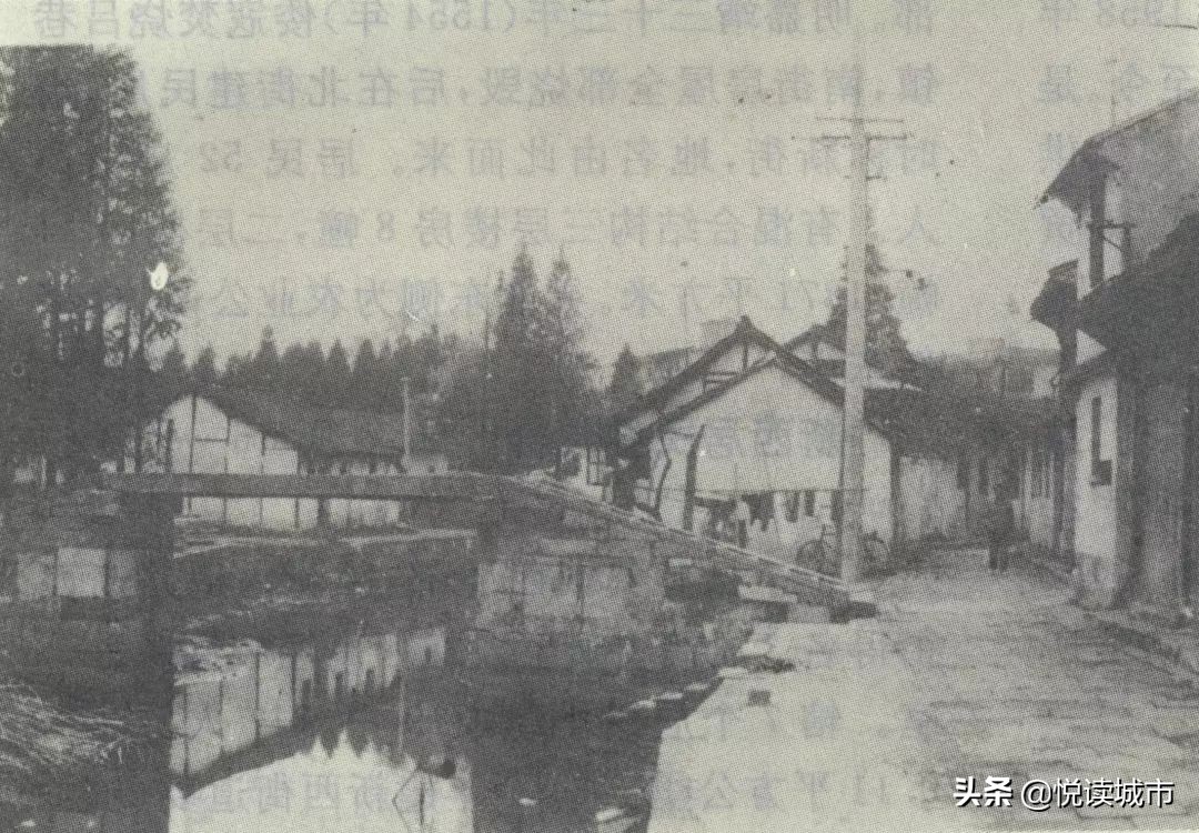 金秋赏“金”：新老照片对比金山发展老金山都不一定认得全