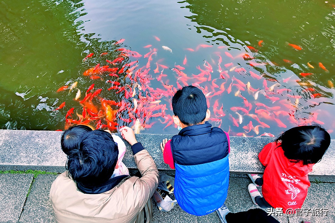 推荐同里古镇的三个理由,同里古镇有小桥流水吗