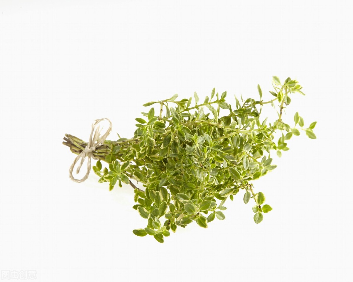 1月至12月生日花的花语,什么花语是祝福生日快乐的花