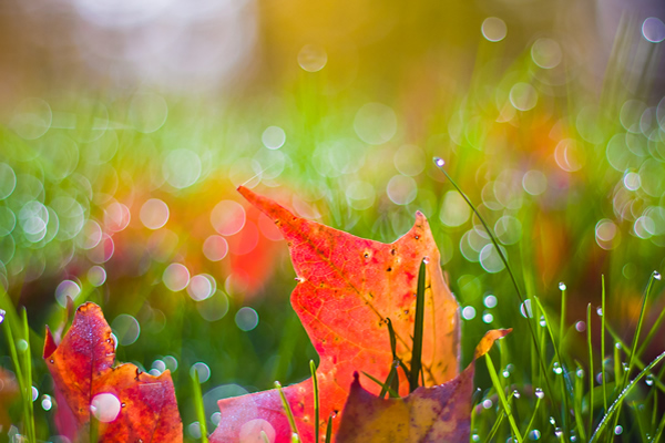 照片非常不清晰怎么办,照片平淡怎么调色