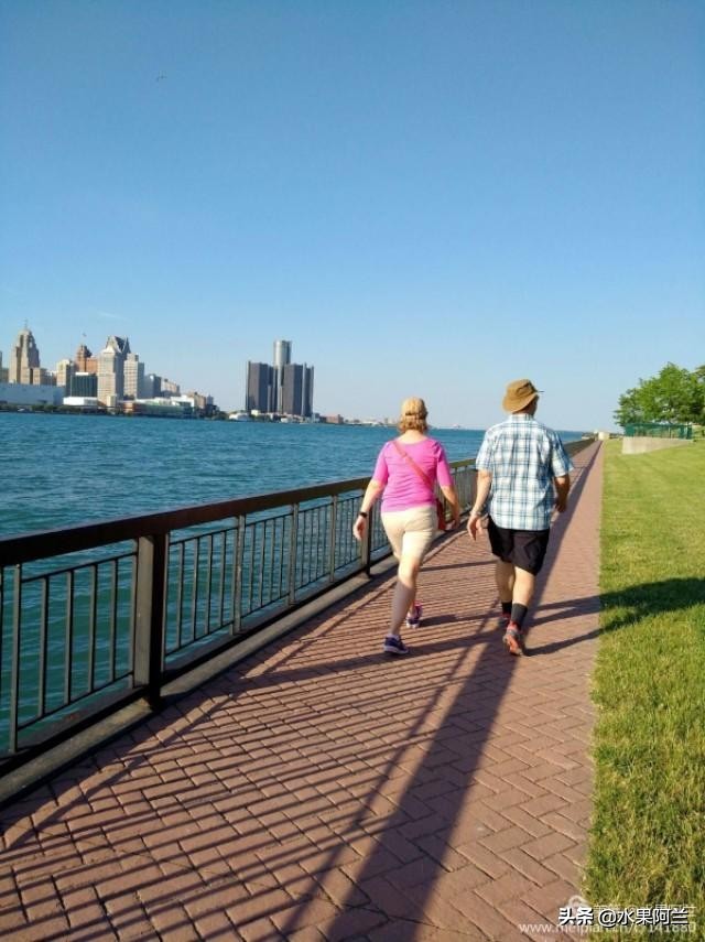 国际出行攻略,新西兰旅游攻略租车