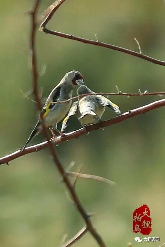 带娃的日子有滋有味,日子过得有滋有味广场舞
