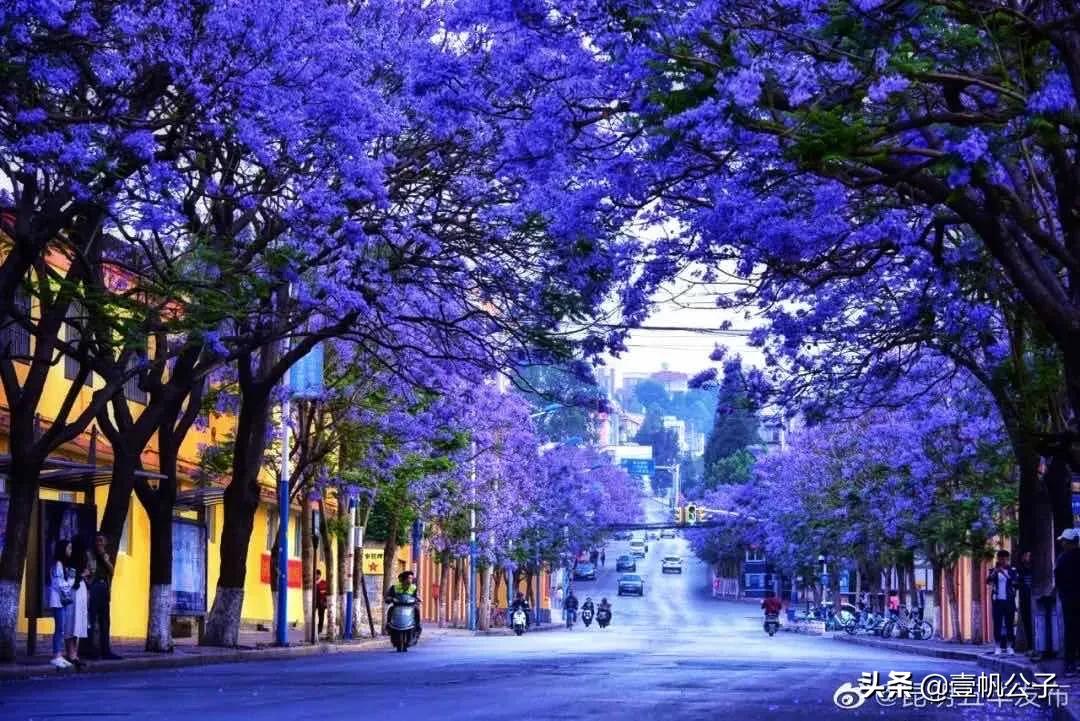 被大理的美景所折服,被丽江的风景美到了