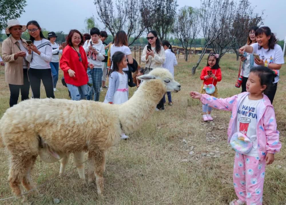 台儿庄祥和庄园自驾游攻略,台儿庄古城祥和庄园