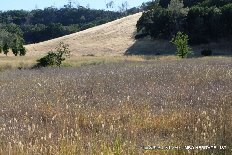 第3045回:人生一世草生一春,来如风雨去似微尘