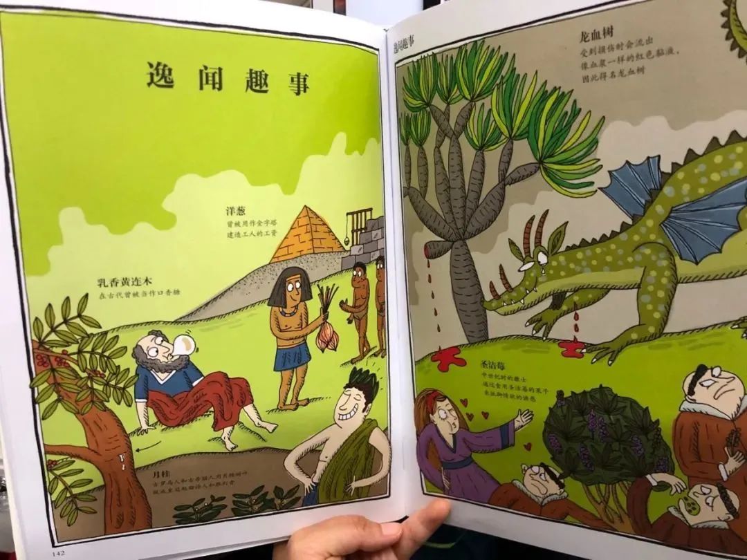 果实有毒的植物有哪些,最毒的植物水果