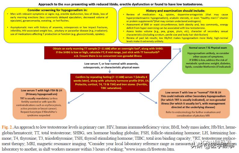 男性性腺的调控概述,男性性腺功能下降年龄