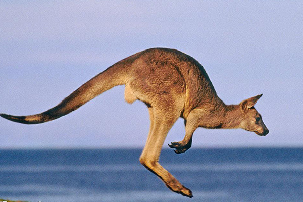 澳大利亚户用储能市场,看世界澳大利亚