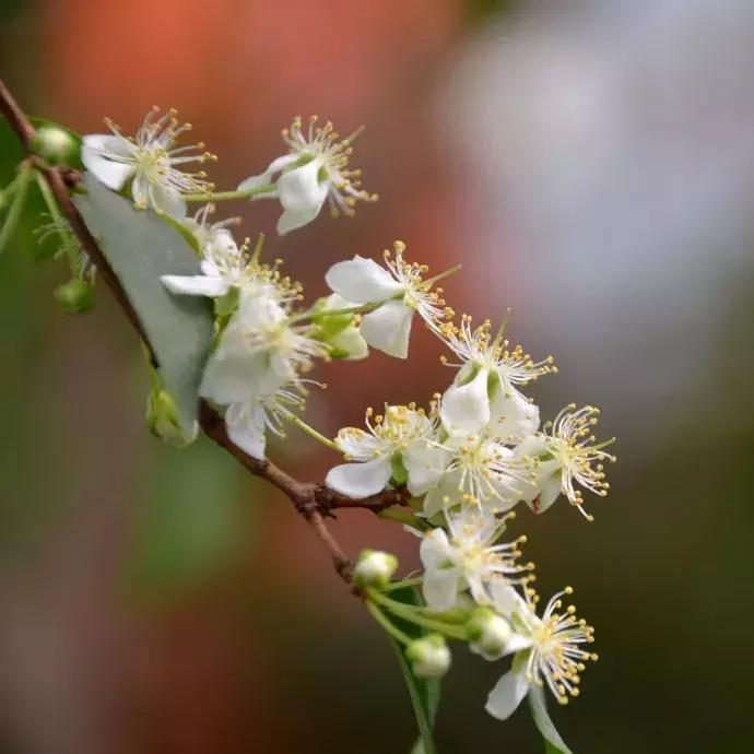 90斤的超大南瓜,迷你南瓜一个多少斤