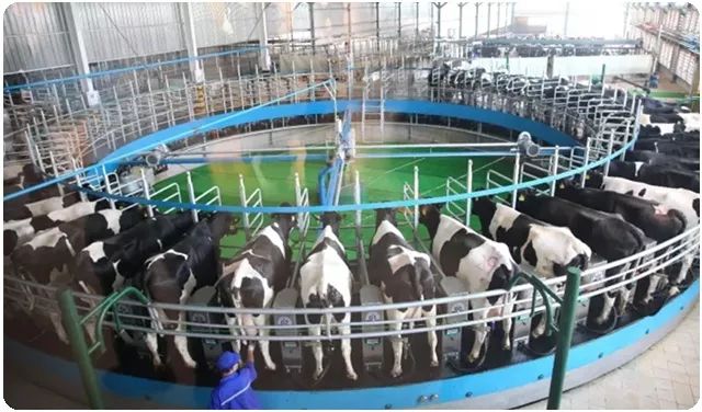 一场静悄悄的质量革命，正让中国离世界越来越近