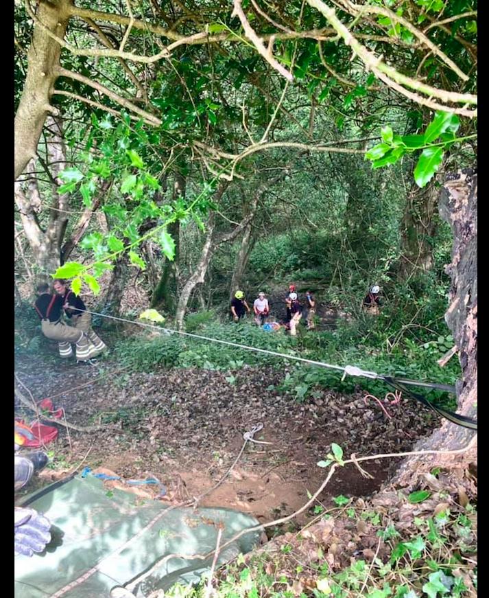 80岁的老奶奶失踪，邻居发现了她养的黑猫，在它的指引下成功营救