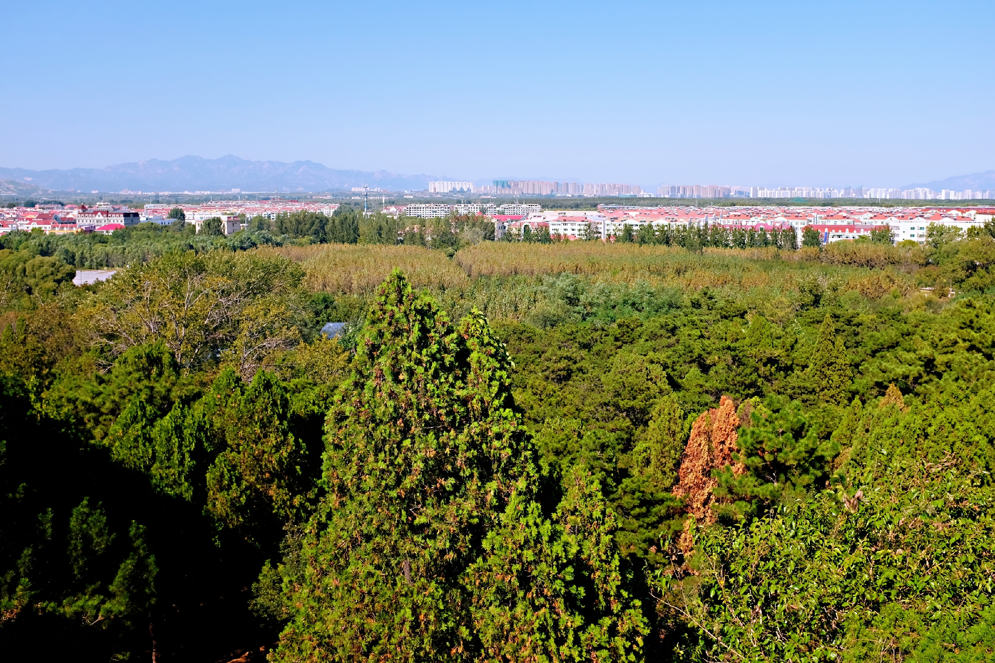 到了北戴河之后怎么去海滨浴场,北戴河怪楼奇园景区今天可以玩吗