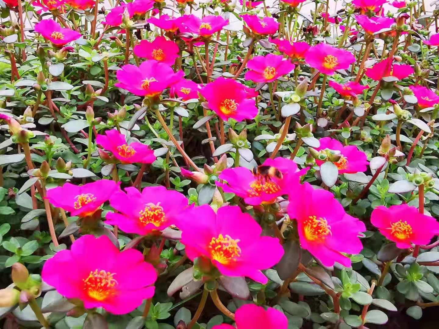 伏牛笔耕苑第332期——今日头条2021.8.20