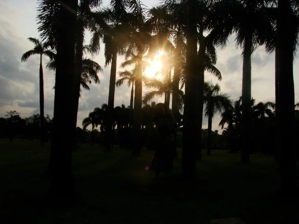 一个人在海边玩一天,一个人在海边怎么玩