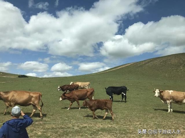 疫情下旅游人的悲哀,旅游者自述疫情