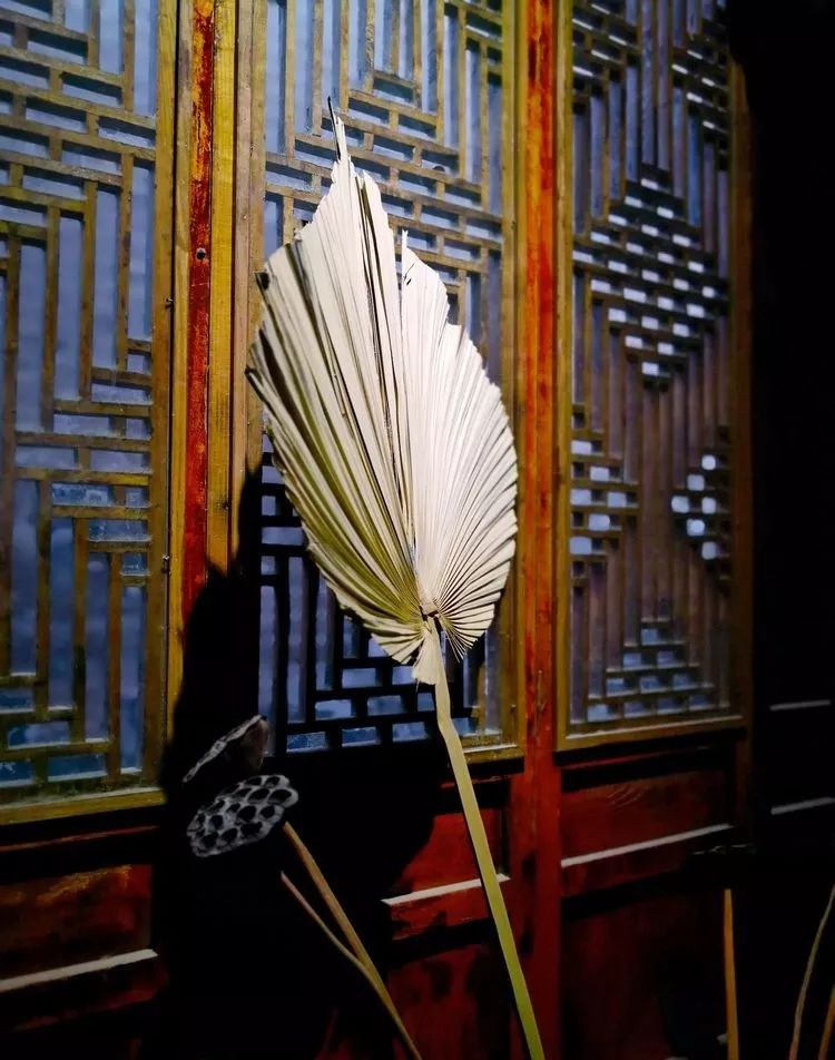 漫随天外云卷云舒原文,漫随天外云卷舒小说