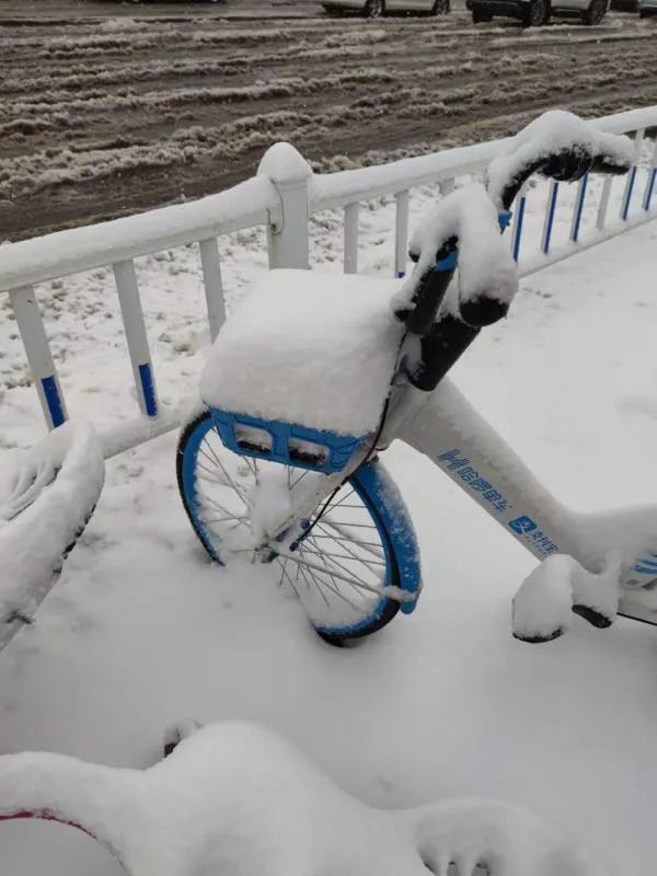 济南的初雪来了,对济南初雪的感受