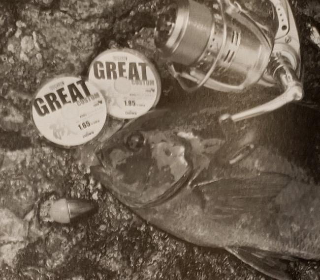 「日本矶钓」矶钓子线选择，日本专业矶钓书籍