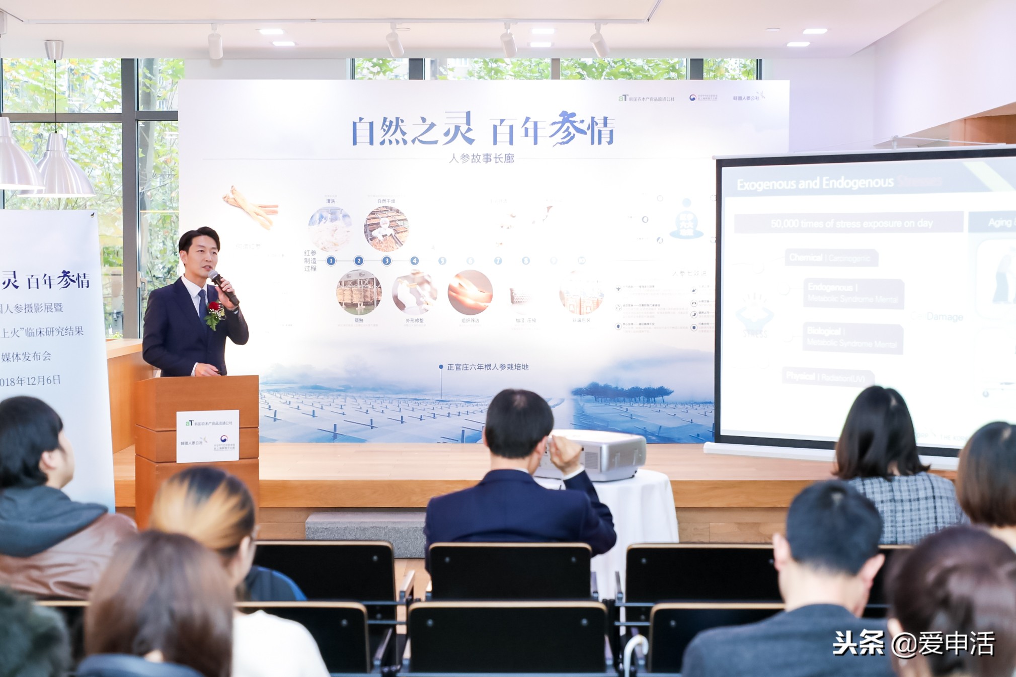 专家讲上火,红参是上火还是降火的