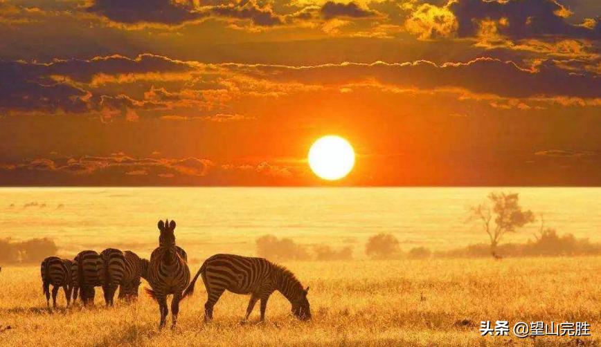 最近流行起来的旅游模式,自由旅游和报团旅游的优缺点