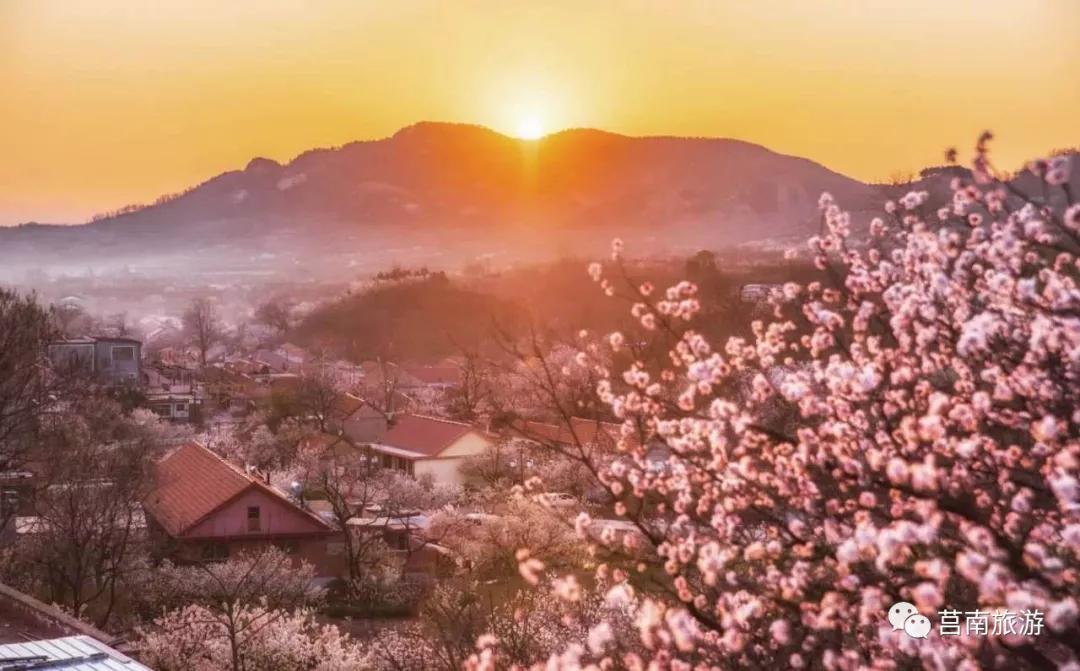 莒南自驾游免费景点大全图片,莒南春季游玩好去处推荐