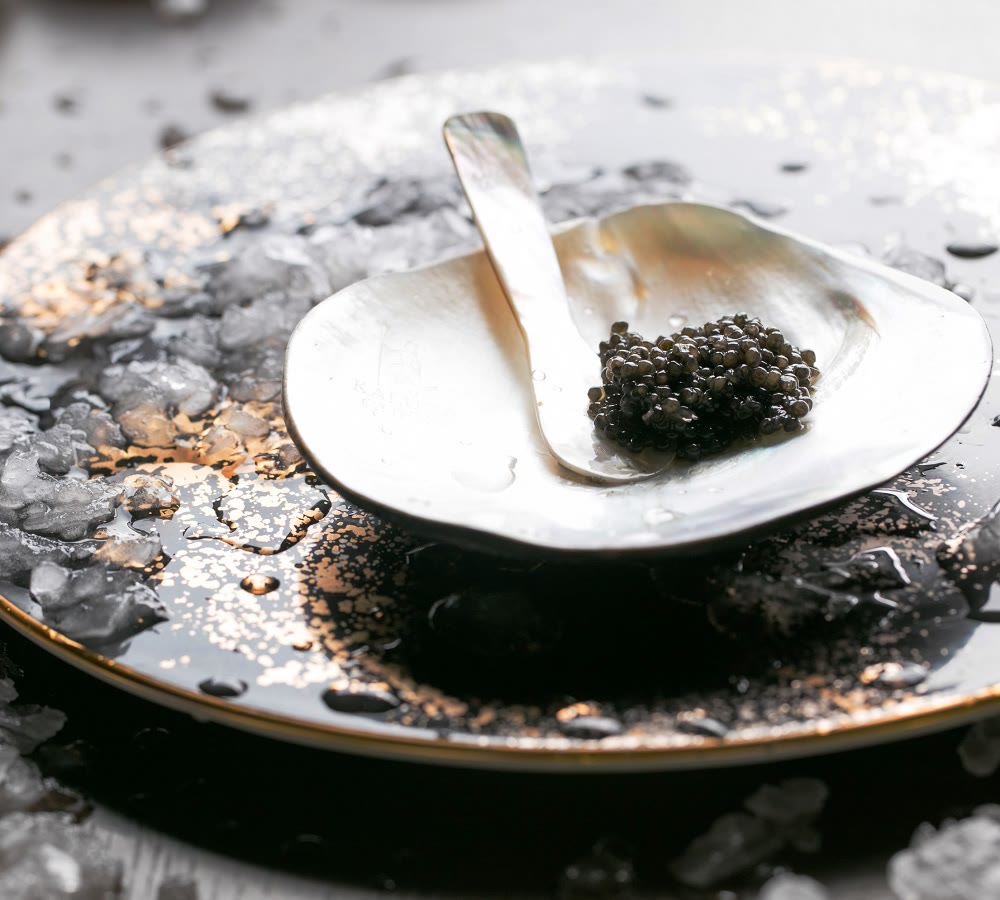 一口一亿的鱼子酱,一口几百块的鱼子酱