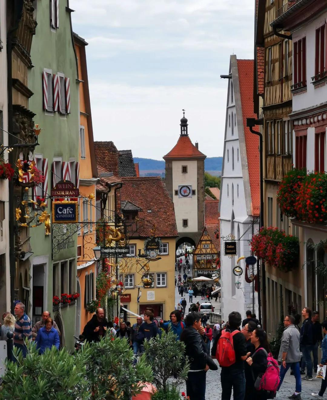 东北花园四季开花植物,北方一年四季都开花的花园