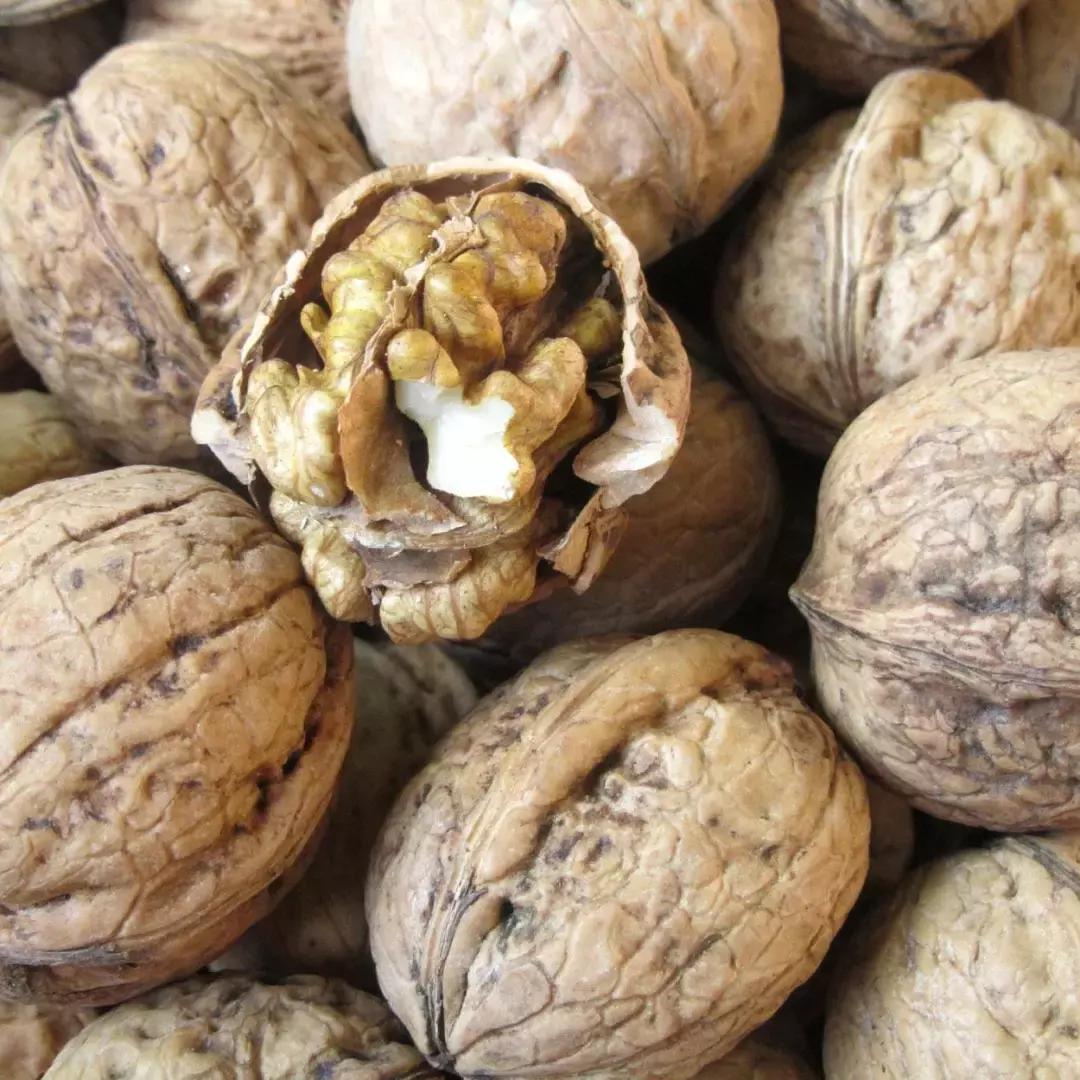 巴中南江要火了！入选国家生态示范县