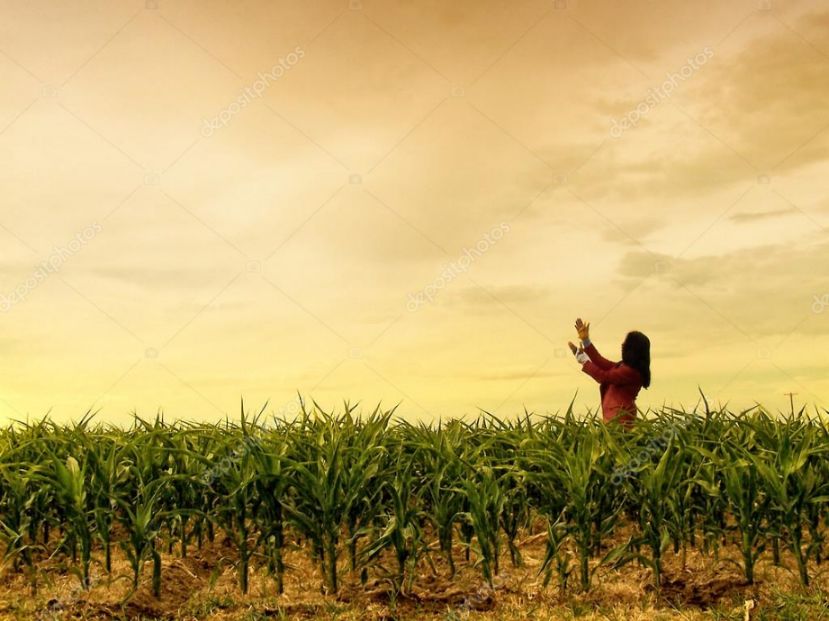 一个精神病却成为了最好的医师,一个精神病女生的治愈