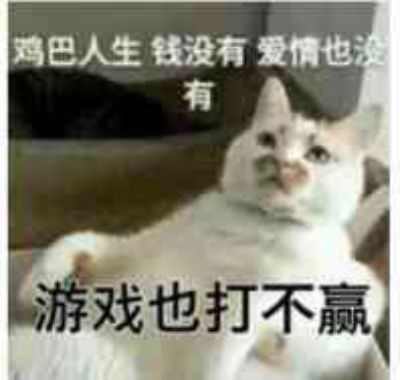 被游戏拯救的自闭少年？如今抱着女明星，登上全球电影最高领奖台