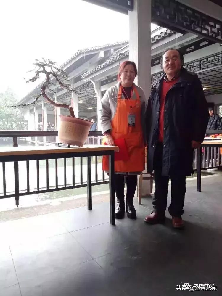 山东盆景艺术大师王桂华,金艳盆景精品欣赏