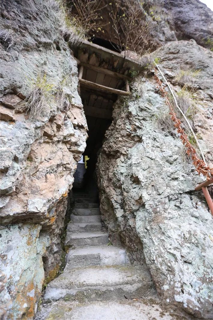 惊艳的一处桃源,乐清秘境原始森林