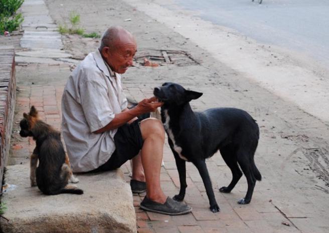 不结婚老了会怎么样视频,不结婚不生娃老了之后的后果