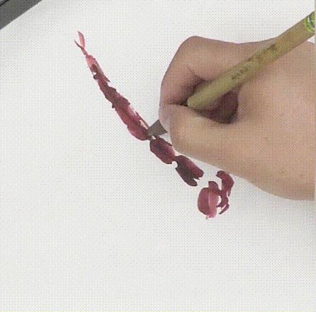 蜻蜓荷花图怎么画,夏天带有荷花蜻蜓的场景画法