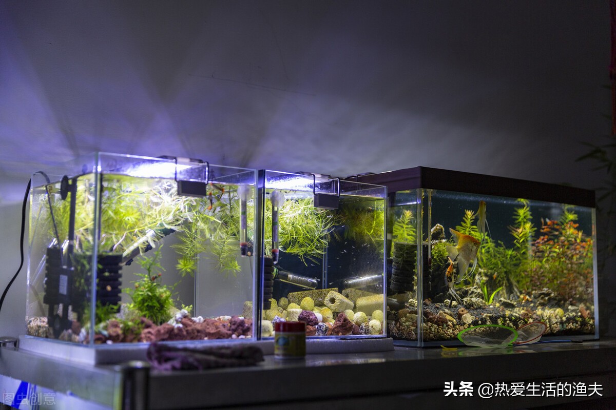 鱼缸换水能一次换全部吗,鱼缸换水可以直接换溪水吗