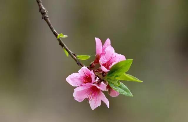 天气早晚秋寒明显双休日气温回升,本周以晴好天气为主怎么说