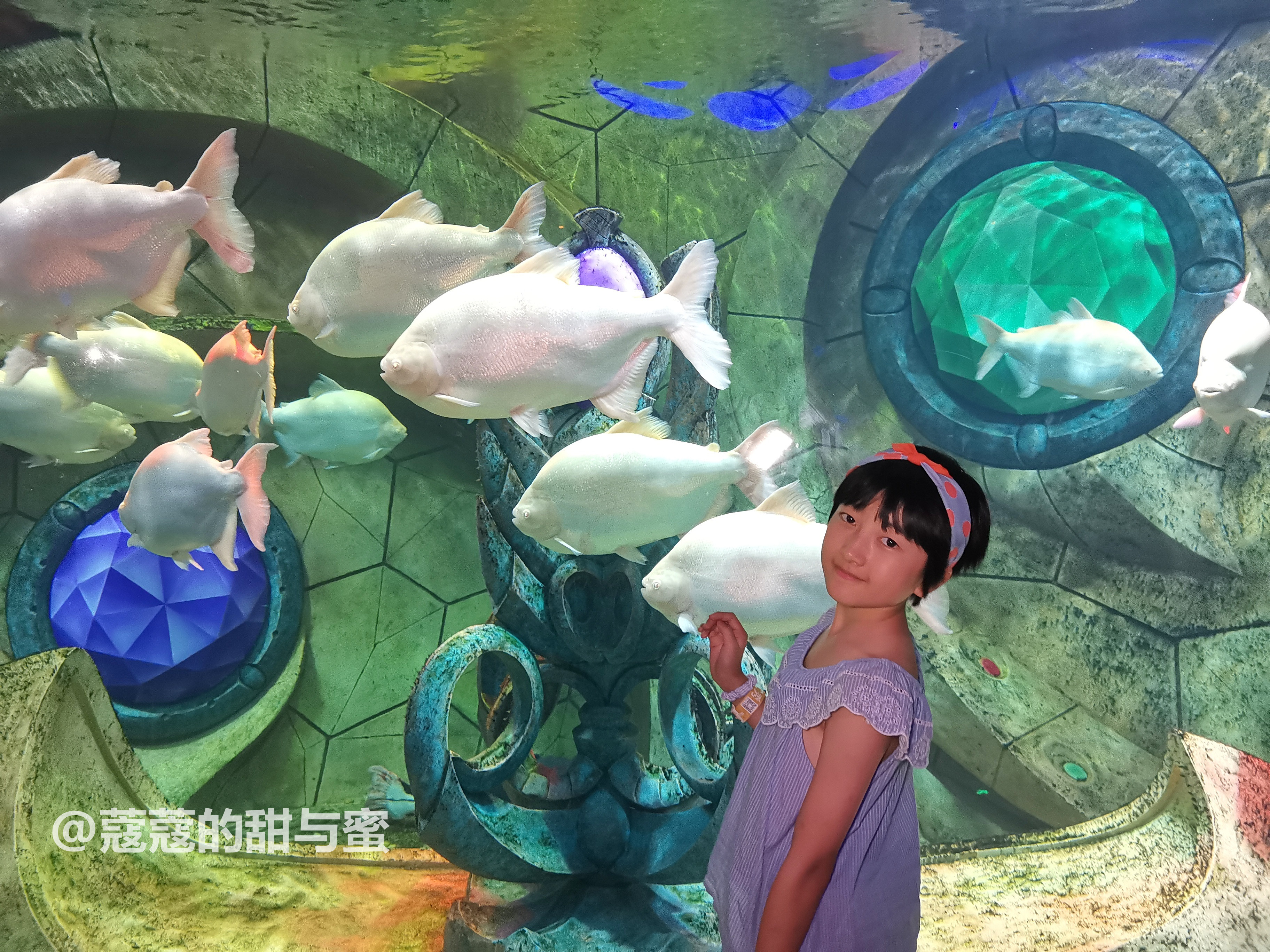 三亚亚特兰蒂斯攻略自由行五天,三亚七天自由行攻略亚特兰蒂斯