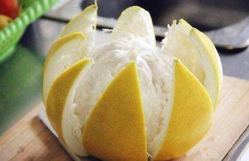 吃完桔子柚子皮皱巴巴，发酵成肥埋盆里，枝条窜出盆变成绿瀑布