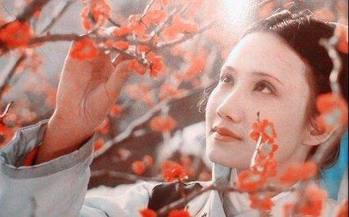 红楼梦十二位女性称为什么,红楼梦十二钗都有谁