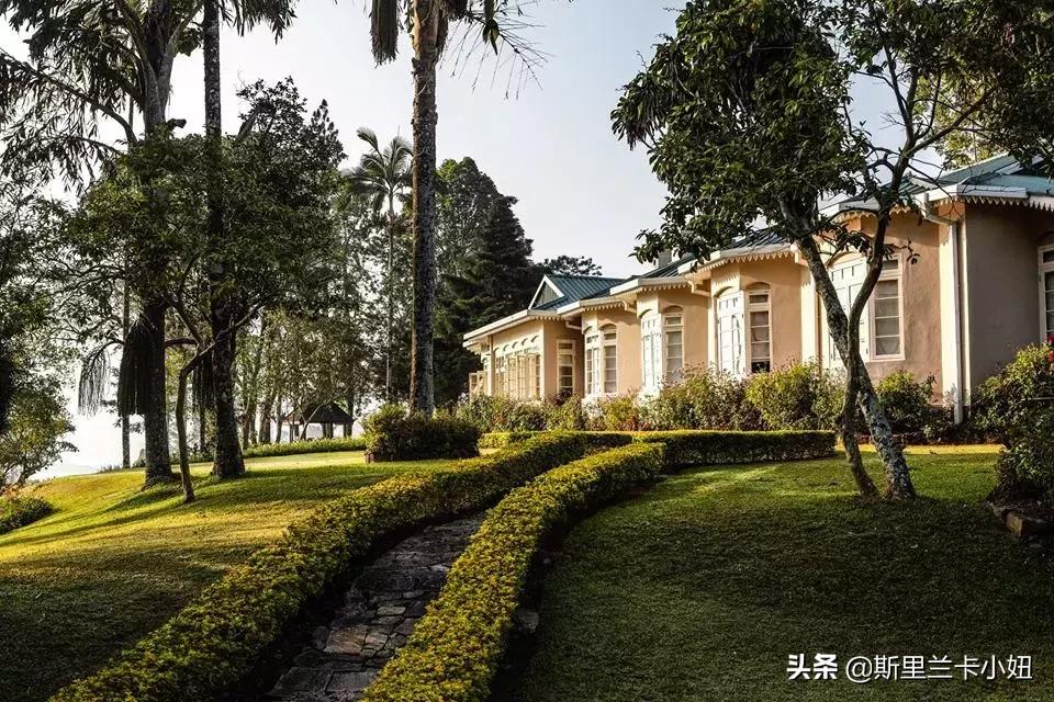 鏂噷鍏板崱缃楄幈澶忔湹,缃楄幈澶忔湹闇嶉】鑻卞紡鑼跺洯