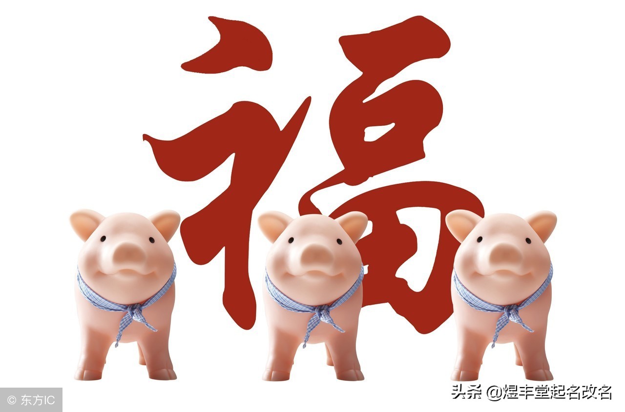 生肖属猪人取什么名字好,十二生肖宝宝起名大全