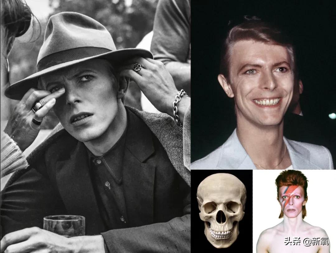 短翘鼻漂亮女星,小翘鼻适合方形脸