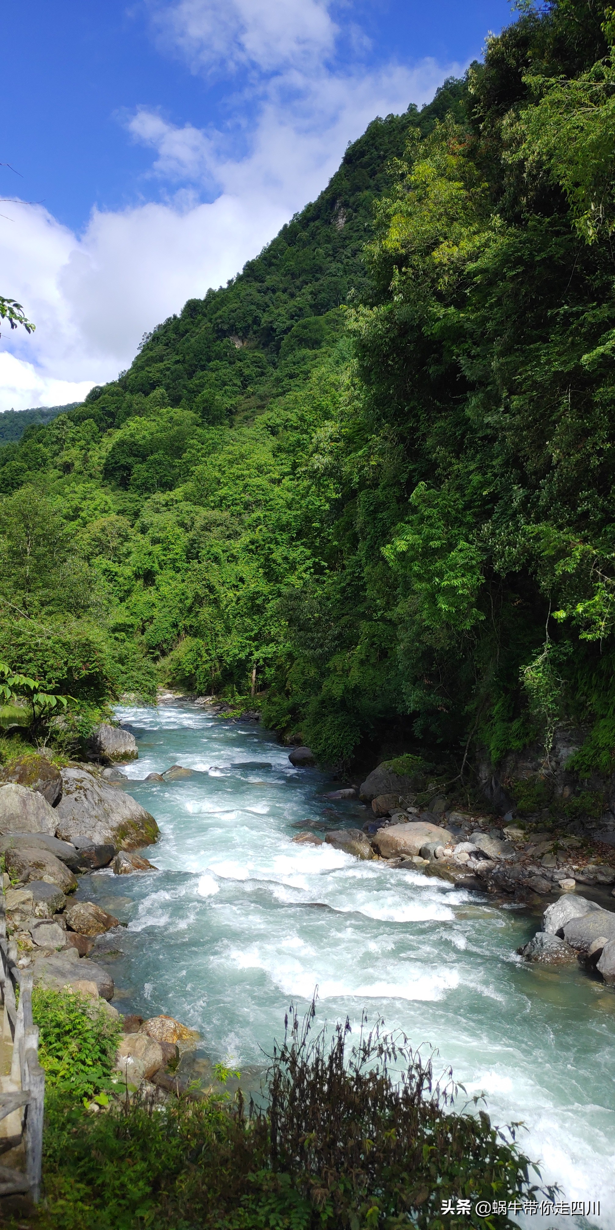 带小朋友出去看小动物,带小孩去海洋动物园