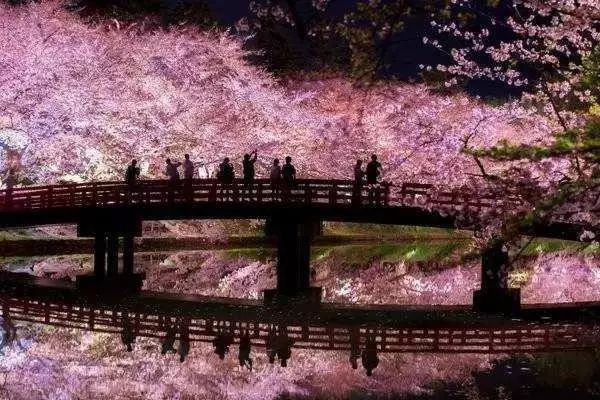 【酷游纪】日本最浪漫“樱花季”，粉红秘境遇见最美的＂樱吹雪＂