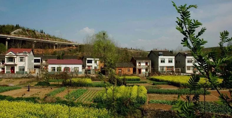 宅基地证会过期吗,小院有宅基地证可以过户吗