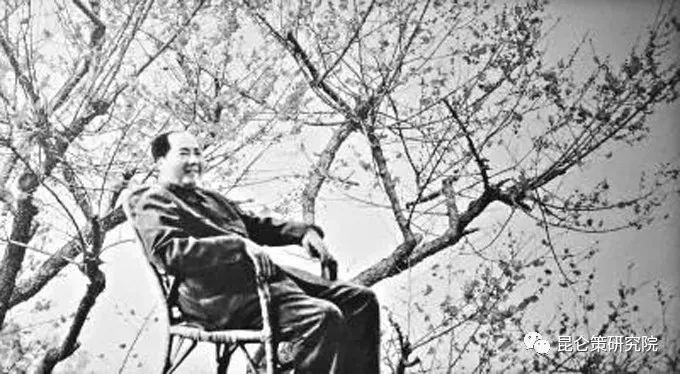 胡懋仁:梅花欢喜漫天雪,冻死苍蝇未足奇