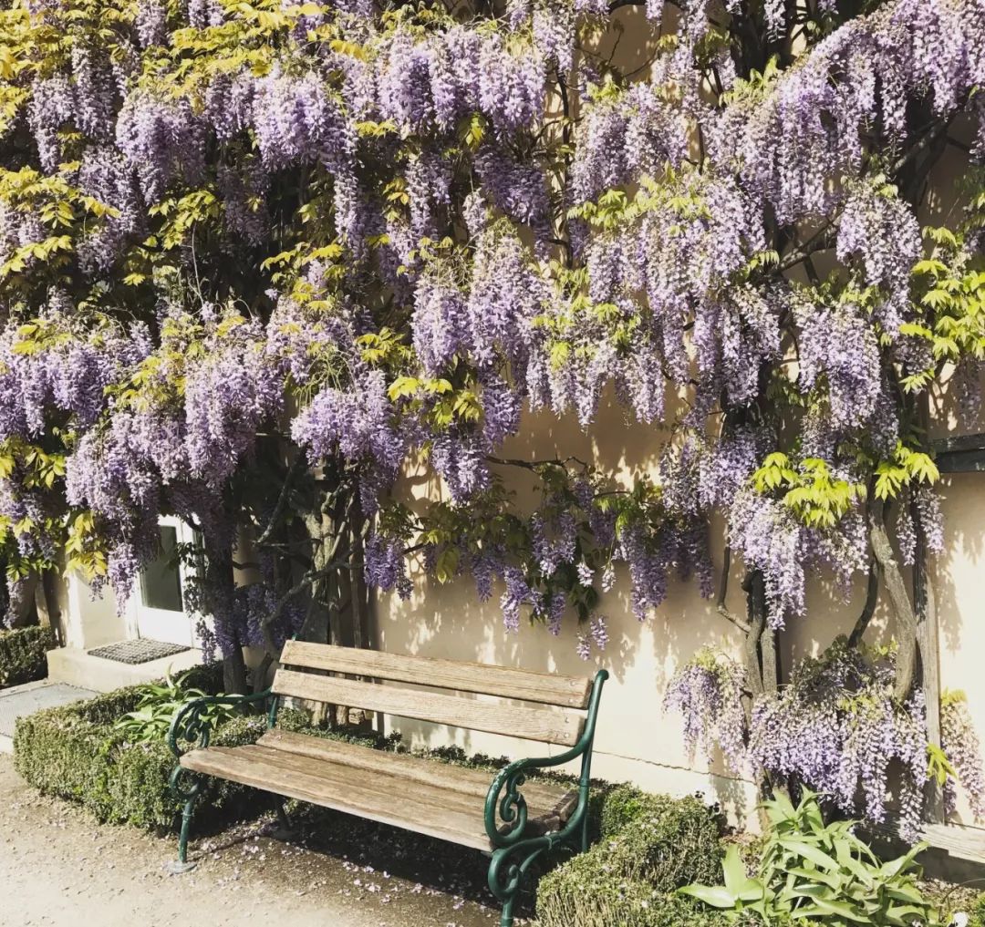 比瑞士还漂亮的地方,比瑞士更好国家有哪些