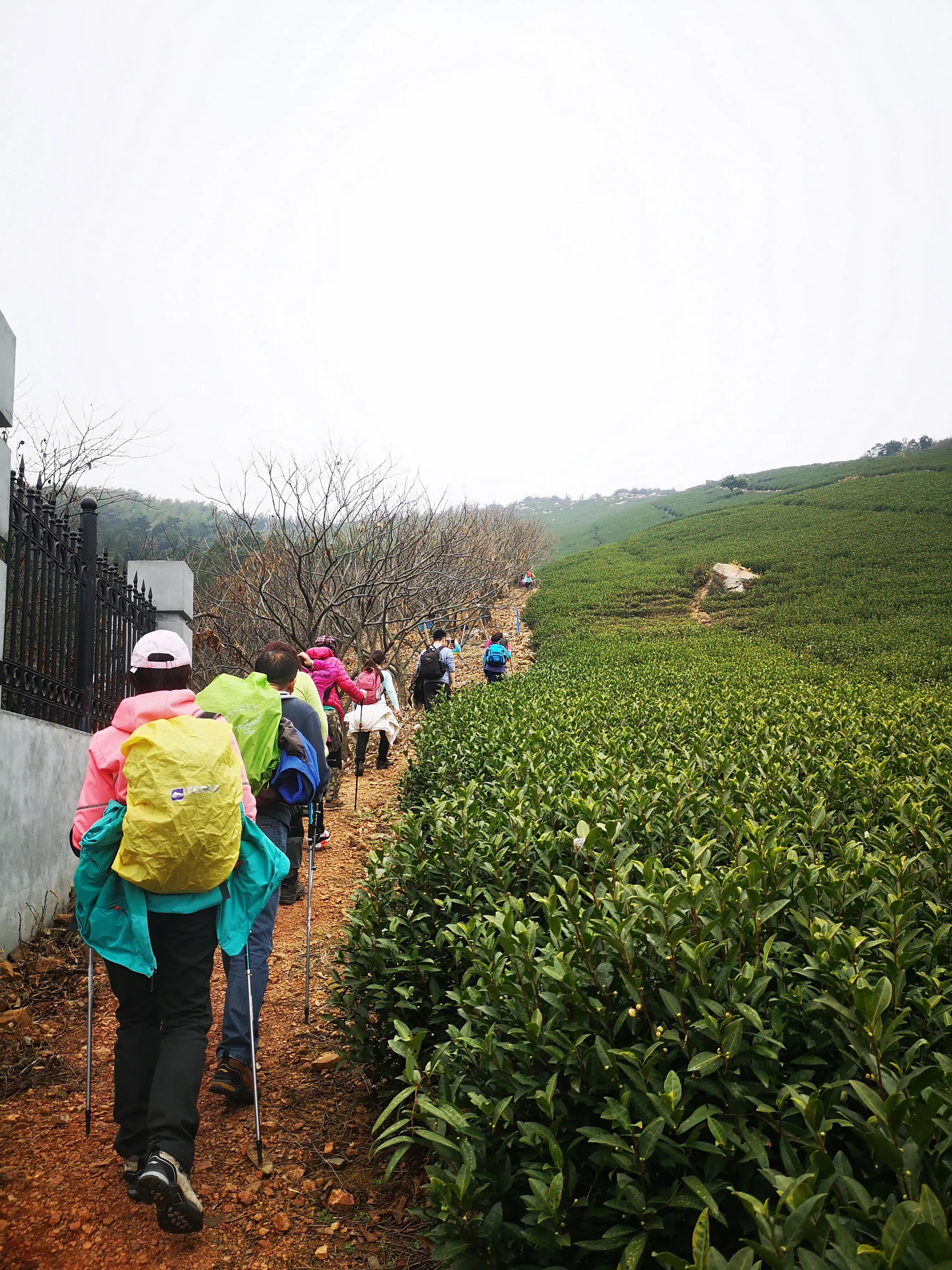 溧阳南山竹海小鸟天堂,宜兴南山竹海和溧阳南山竹海